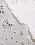 Gentle Foaming Cleanser Powder